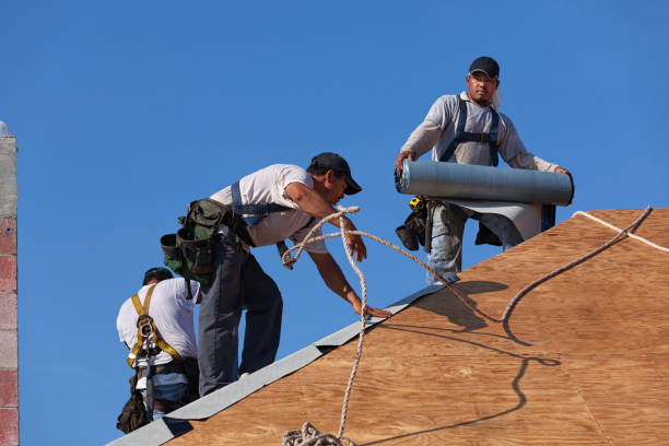 Roof Gutter Cleaning in Bellevue, NE